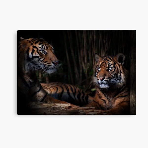 Mother and Son Canvas Print