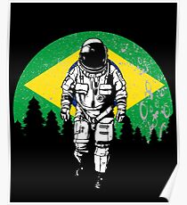 Brazil flag Poster