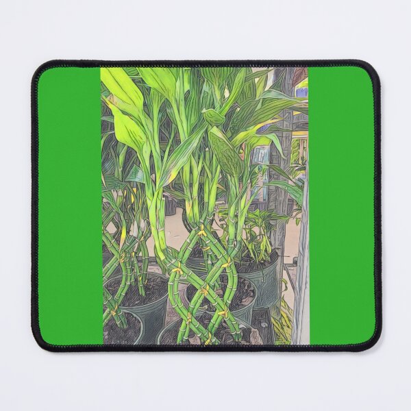 Item preview, Lucky Bamboo designed and sold by O-Time.
