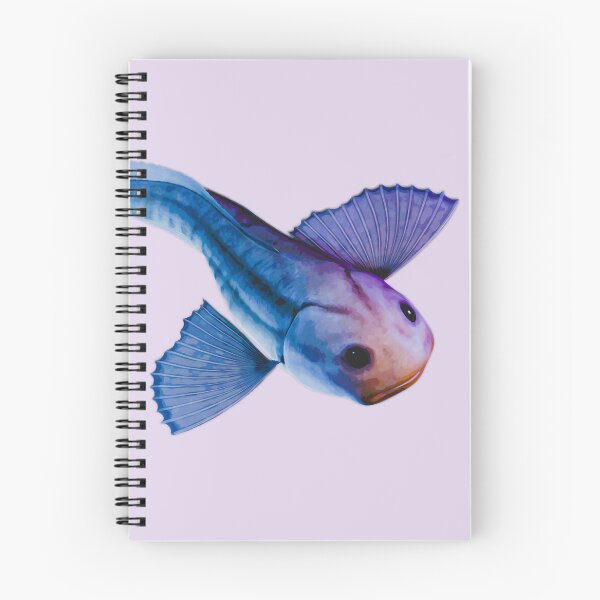 Item preview, Snailfish designed and sold by GoupilShop.
