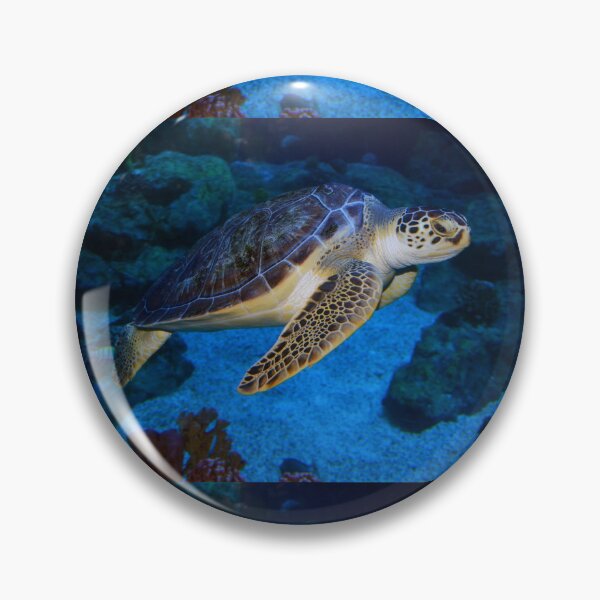 Item preview, Sea Turtle  designed and sold by Savannah Gibbs.