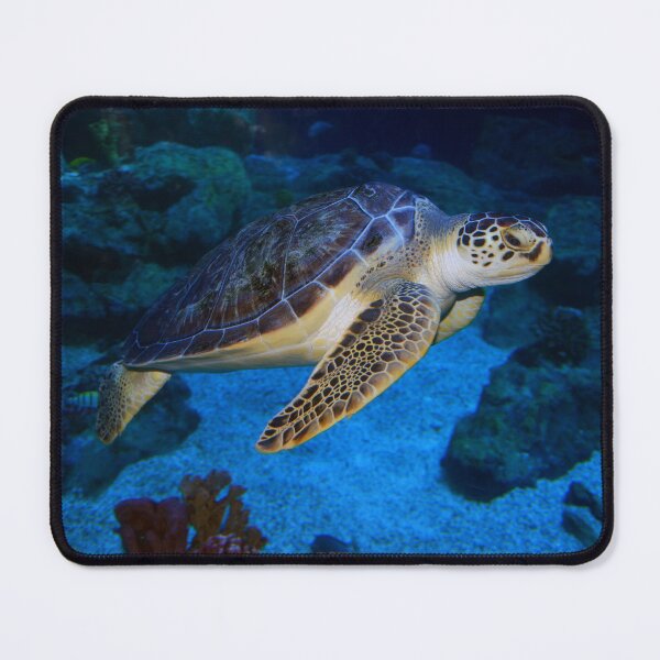 Item preview, Sea Turtle designed and sold by Savannah Gibbs.