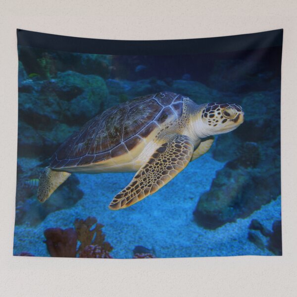 Item preview, Sea Turtle  designed and sold by Savannah Gibbs.