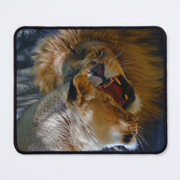Item preview, Lions designed and sold by Savannah Gibbs.