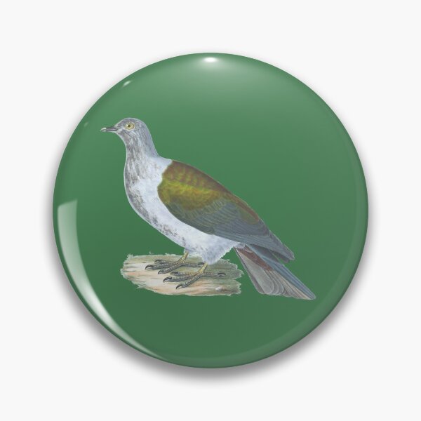 Item preview, Carpophaca Chalybura Vintage Dove Color Lithograph designed and sold by ElegantTeaTime.