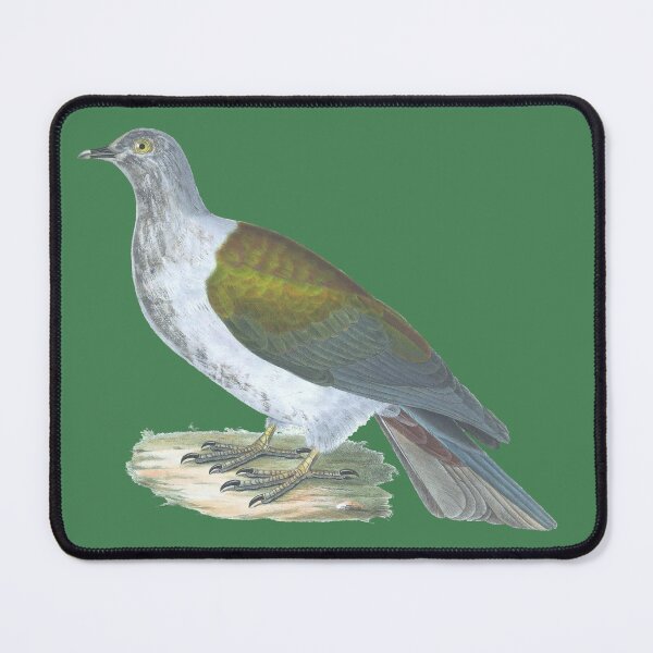 Item preview, Carpophaca Chalybura Vintage Dove Color Lithograph designed and sold by ElegantTeaTime.