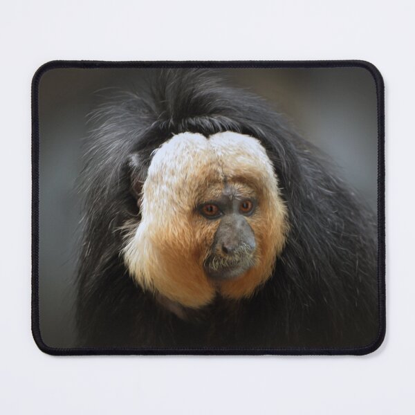 Item preview, Saki  designed and sold by Savannah Gibbs.