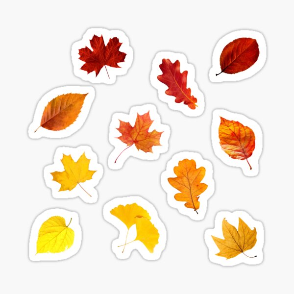 Item preview, Fall Leaves Sticker Pack designed and sold by alykalydaly.