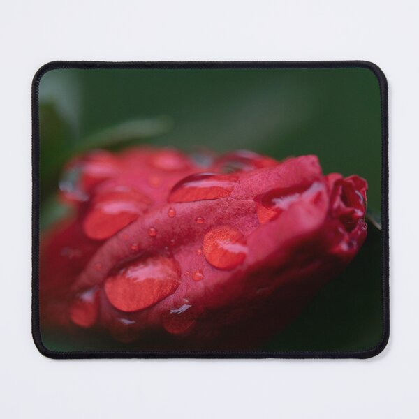 Item preview, Favourite Things designed and sold by BroomstickMagic by Dani Musicka.