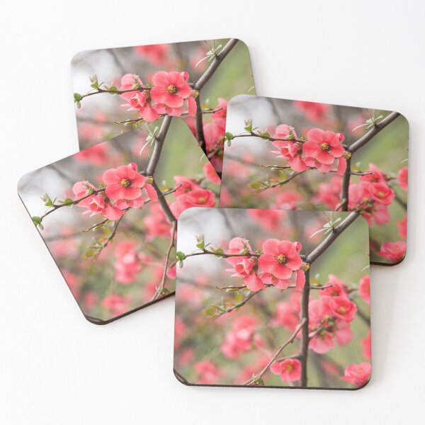 Item preview, Cool Crisscross of Pink Flowering Quince Branches designed and sold by Georgia Mizuleva.