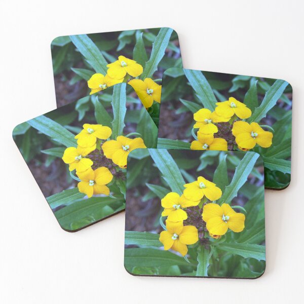 Item preview, Wallflower designed and sold by gistinker.