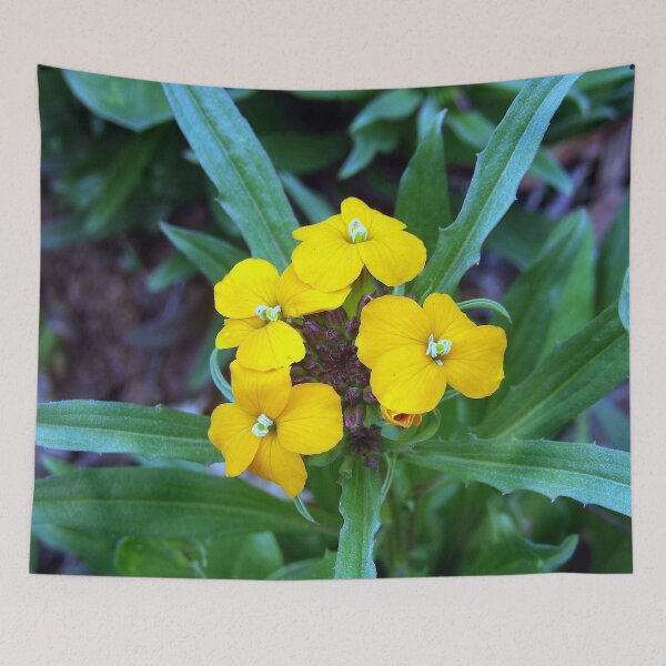 Item preview, Wallflower designed and sold by gistinker.