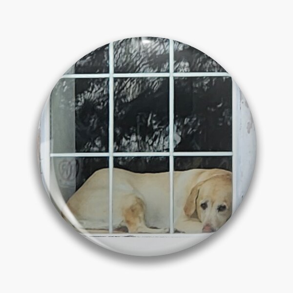 Item preview, Doggy in the Window designed and sold by Amber Graham (grahamedia).