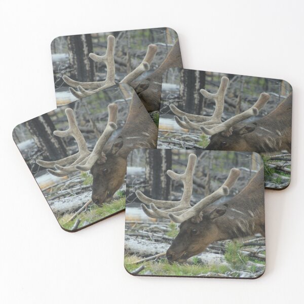 Item preview, Elk in Yellowstone Forest designed and sold by CampfireCove.