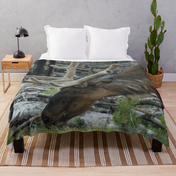 Item preview, Elk in Yellowstone Forest designed and sold by CampfireCove.