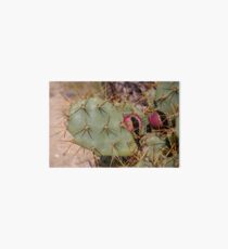 Opuntia prickly pear cactus with thorns and fruits, prickly close up Art Board