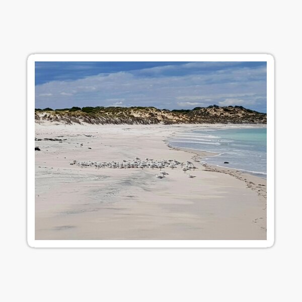 Item preview, Seagulls On The Beach designed and sold by Designsbygroovy.
