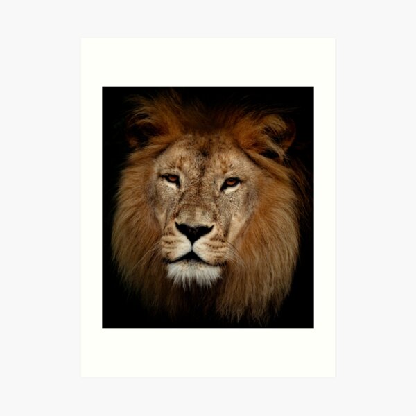 King Art Print