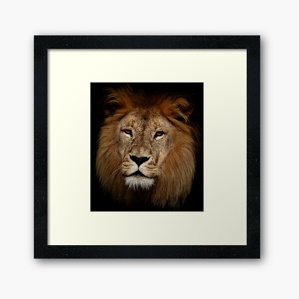 King Framed Art Print