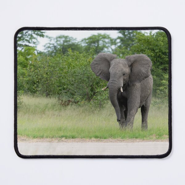 Item preview, Elephant - Moremi Game Reserve, Okavango Delta, Botswana designed and sold by Sean De Freitas.