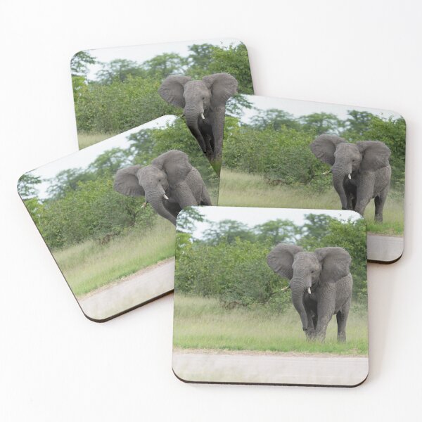 Item preview, Elephant - Moremi Game Reserve, Okavango Delta, Botswana designed and sold by Sean De Freitas.
