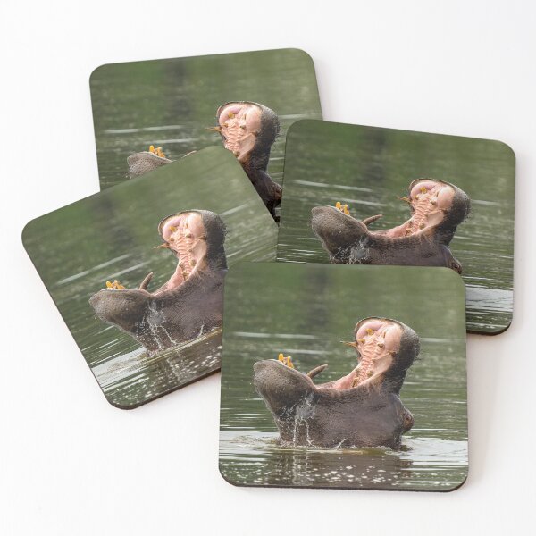 Item preview, Hippopotamus Yawn - Okavango Delta, Botswana designed and sold by Sean De Freitas.