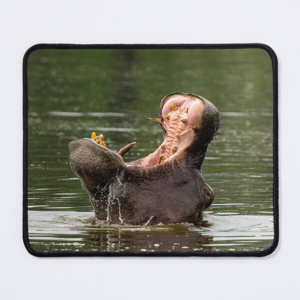 Item preview, Hippopotamus Yawn - Okavango Delta, Botswana designed and sold by Sean De Freitas.