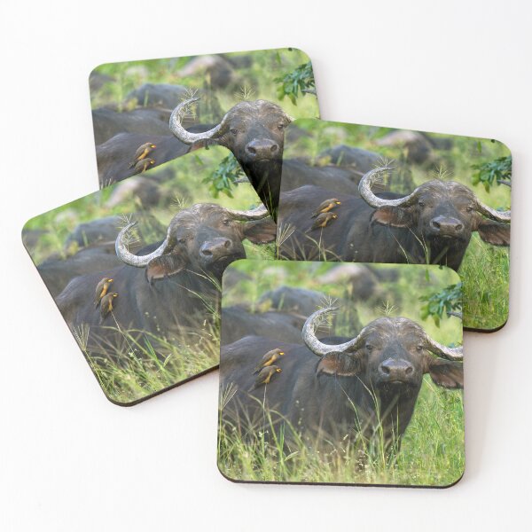 Item preview, Cape Buffalo - Moremi Game Reserve, Okavango Delta, Botswana, Africa designed and sold by Sean De Freitas.