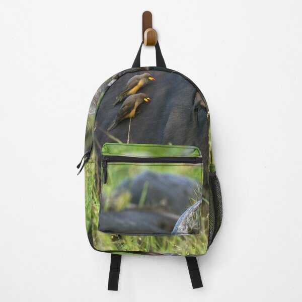 Item preview, Cape Buffalo - Moremi Game Reserve, Okavango Delta, Botswana, Africa designed and sold by Sean De Freitas.