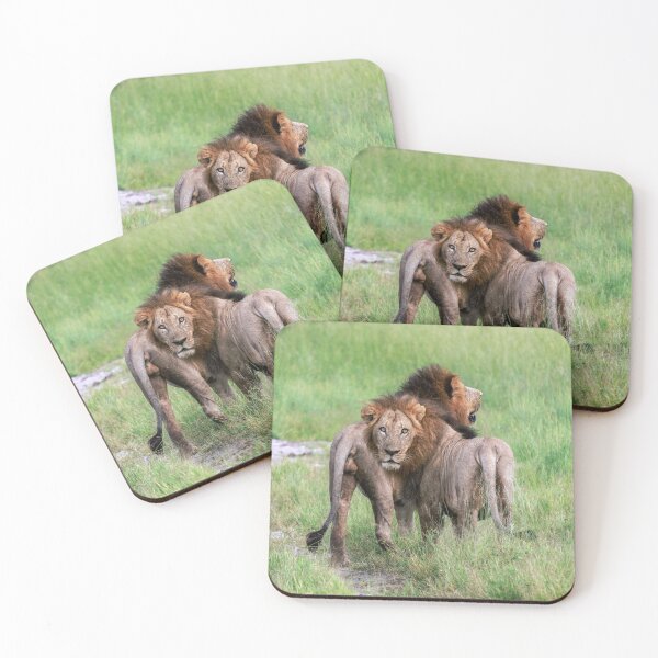 Item preview, Brothers in Arms!  Lions in Africa designed and sold by Sean De Freitas.