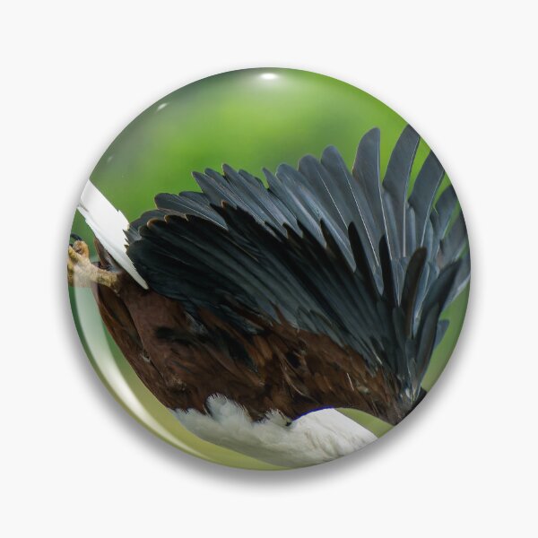 Item preview, African Fish Eagle in full flight - Okavango Delta, Botswana, Africa designed and sold by Sean De Freitas.