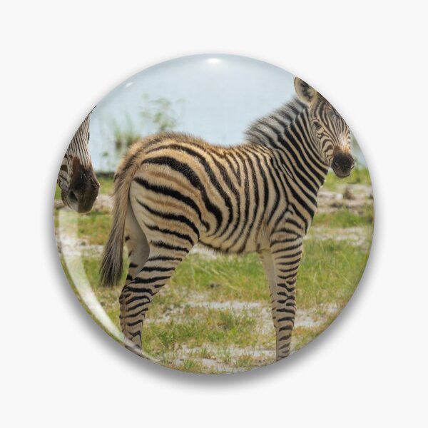 Item preview, Zebra - Okavango Delta, Botswana designed and sold by Sean De Freitas.