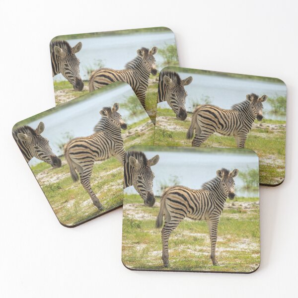 Item preview, Zebra - Okavango Delta, Botswana designed and sold by Sean De Freitas.