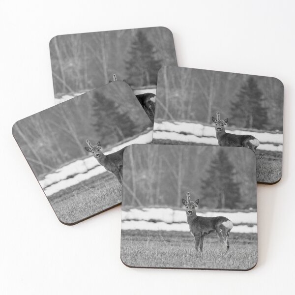 Item preview, Feeling so sad . Roe deer bw designed and sold by Jouko Lehto Photography.