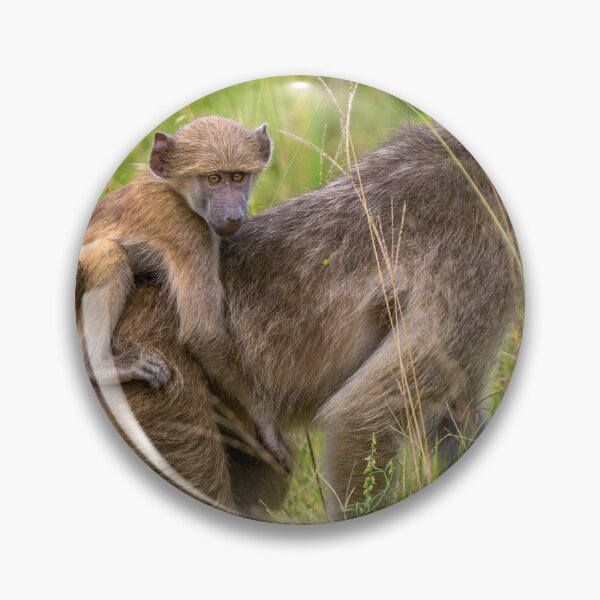 Item preview, Baby Baboon - Okavango Delta, Botswana, Africa designed and sold by Sean De Freitas.