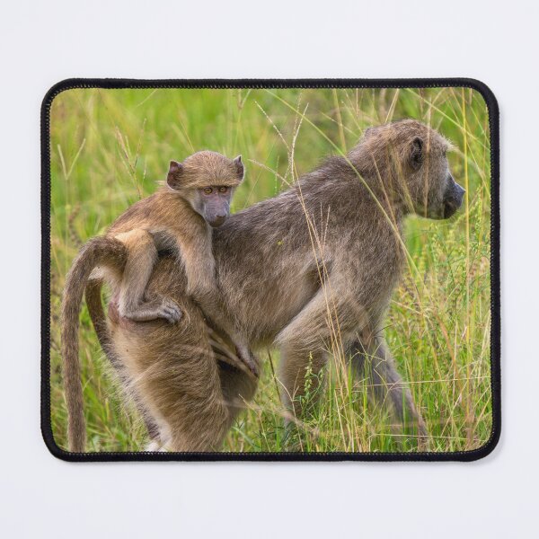 Item preview, Baby Baboon - Okavango Delta, Botswana, Africa designed and sold by Sean De Freitas.
