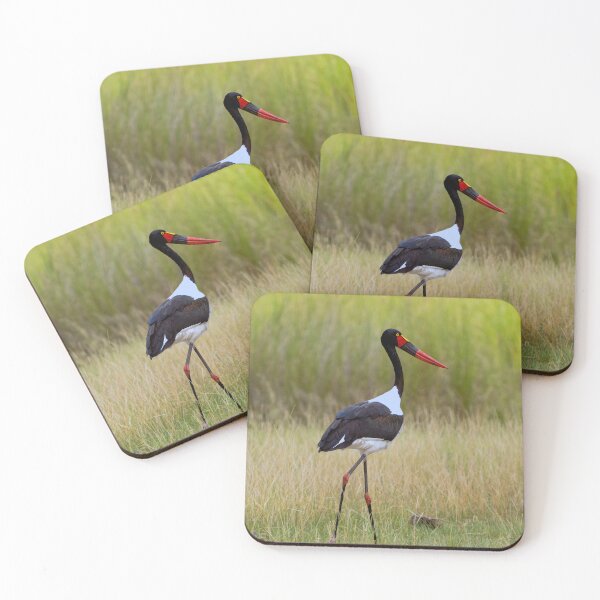 Item preview, Saddleback Stork - Okavango Delta, Botswana, Africa.  designed and sold by Sean De Freitas.
