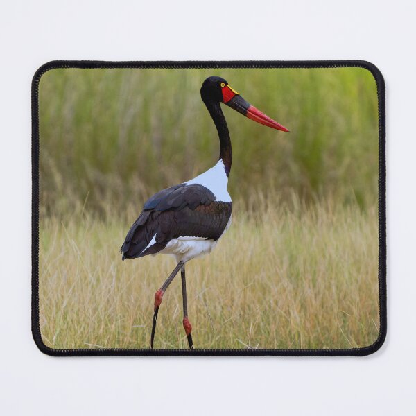 Item preview, Saddleback Stork - Okavango Delta, Botswana, Africa. designed and sold by Sean De Freitas.