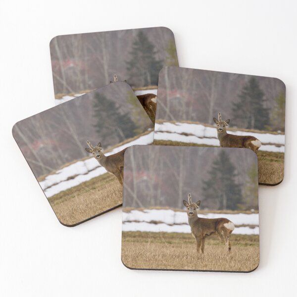 Item preview, Feeling so sad . Roe deer designed and sold by Jouko Lehto Photography.