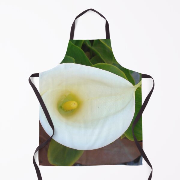 Item preview, Overhead Shot Of Calla Lily Trumpet-shaped Bract designed and sold by taiche.