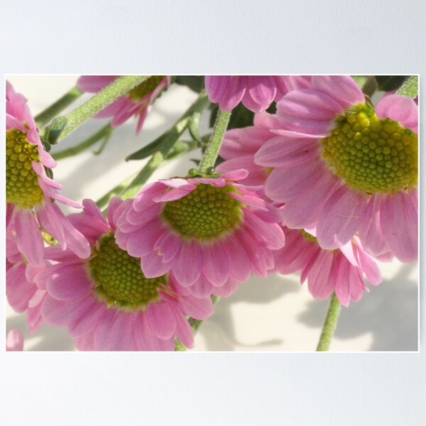 Item preview, Sweet pink designed and sold by CanDuCreations.