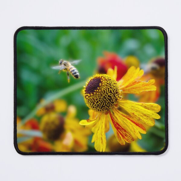 Item preview, Honey Bee on Heleniums designed and sold by Alisonchambers2.
