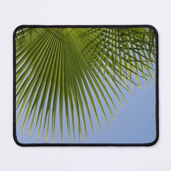 Item preview, Green palm leaf and blue sky, summer season designed and sold by Adriana Mueller.