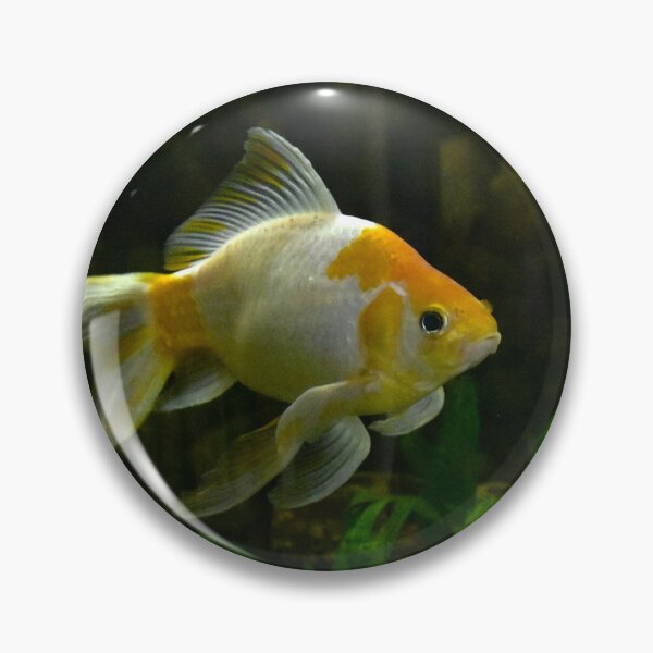 Item preview, Goldfish designed and sold by MercerImages.
