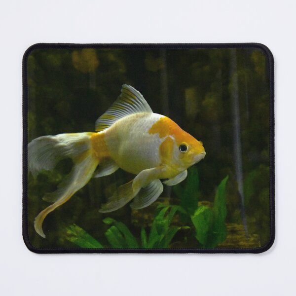 Item preview, Goldfish designed and sold by MercerImages.