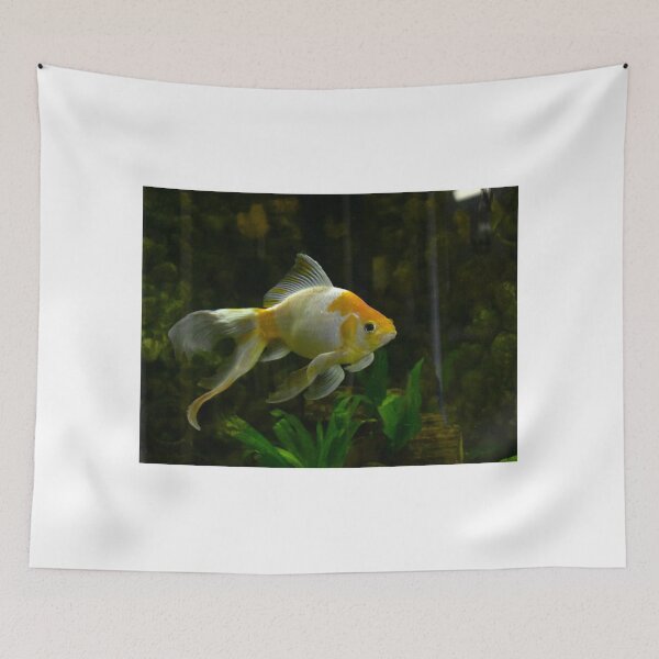 Item preview, Goldfish designed and sold by MercerImages.