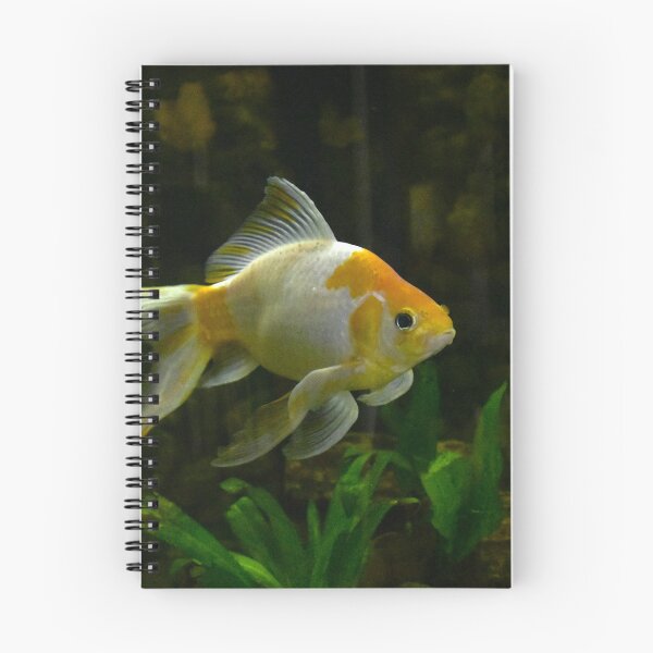 Item preview, Goldfish designed and sold by MercerImages.