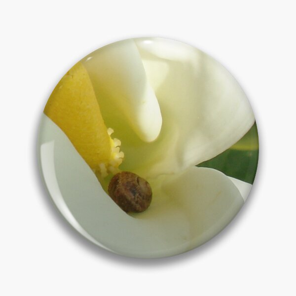 Item preview, A Place Of Rest, Calla, Garden and Land Snail designed and sold by taiche.