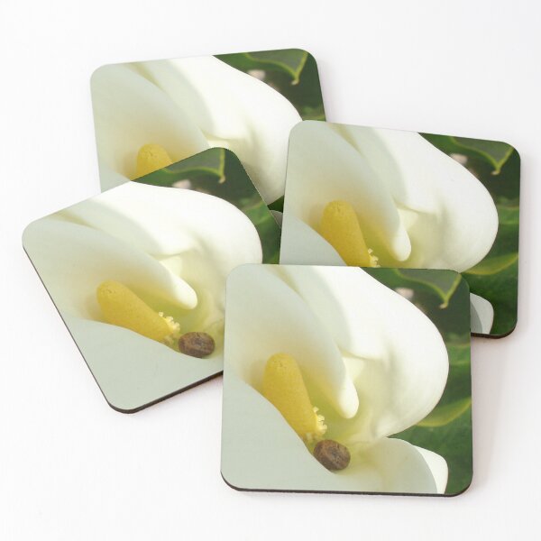 Item preview, A Place Of Rest, Calla, Garden and Land Snail designed and sold by taiche.