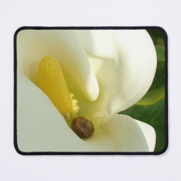 Item preview, A Place Of Rest, Calla, Garden and Land Snail designed and sold by taiche.
